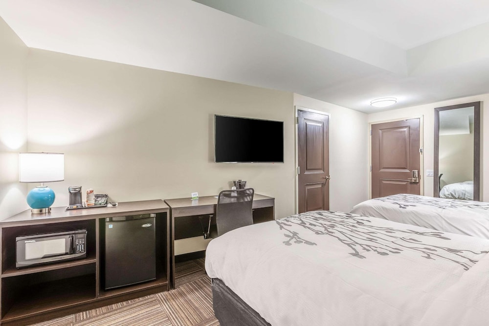Van Wyck Hotel & Suites Near JFK Airport - photo 28