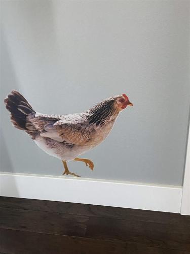 PA The Hidden Chicken - photo 19