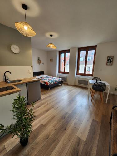 Pontarlier Centre Historique 3eme Ma Petite Resa in Pontarlier, France