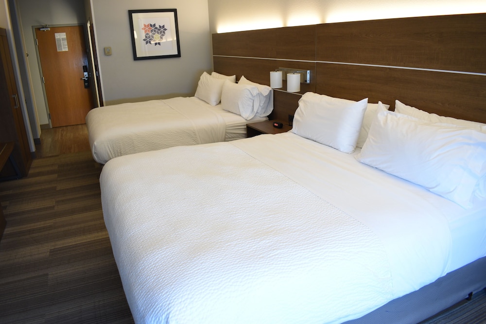 Holiday Inn Express & Suites South Lincoln by IHG - photo 29
