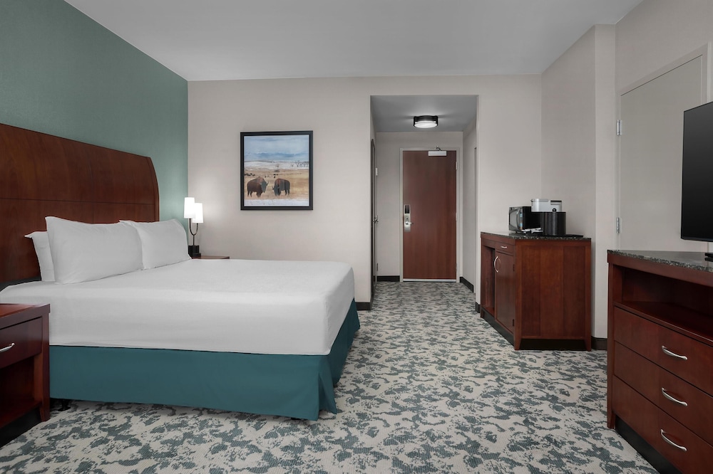 Hilton Garden Inn Denver Downtown - photo 20