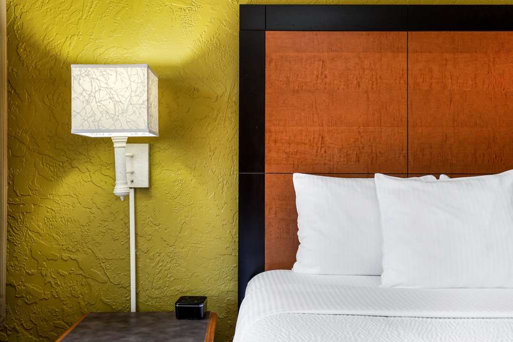 La Quinta Inn Tampa Airport Stadium Westshore - photo 5