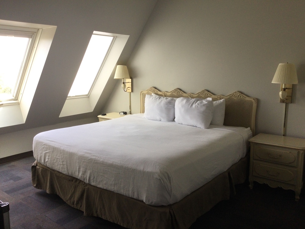 The Hotel Ojibway Trademark Collection by Wyndham - photo 8