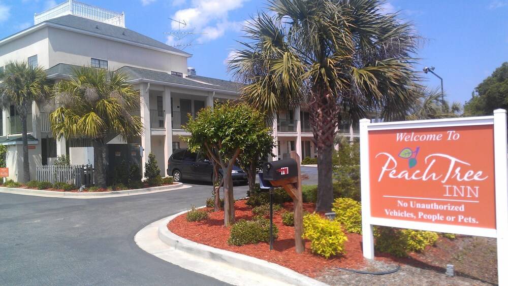 Peach Tree Inn - photo 15