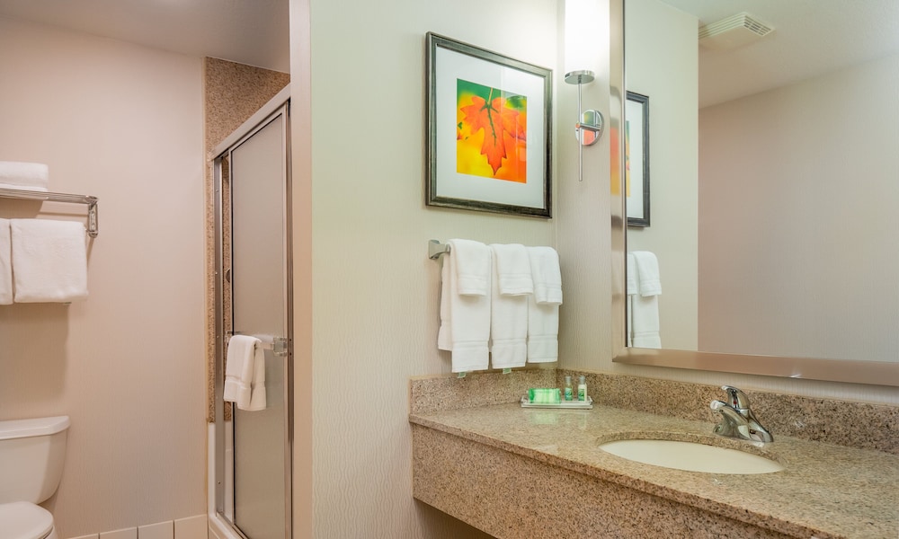 Holiday Inn Stevens Point Convention Ctr by IHG - photo 13