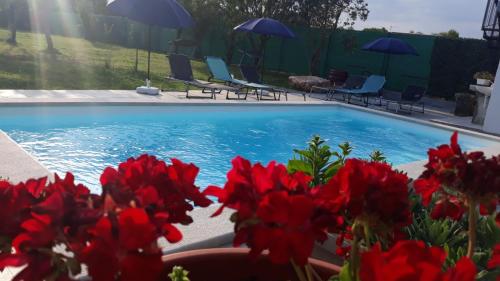 Holiday Home Dioniza — 4-Star Luxury Hotel in Vodnjan, Croatia
