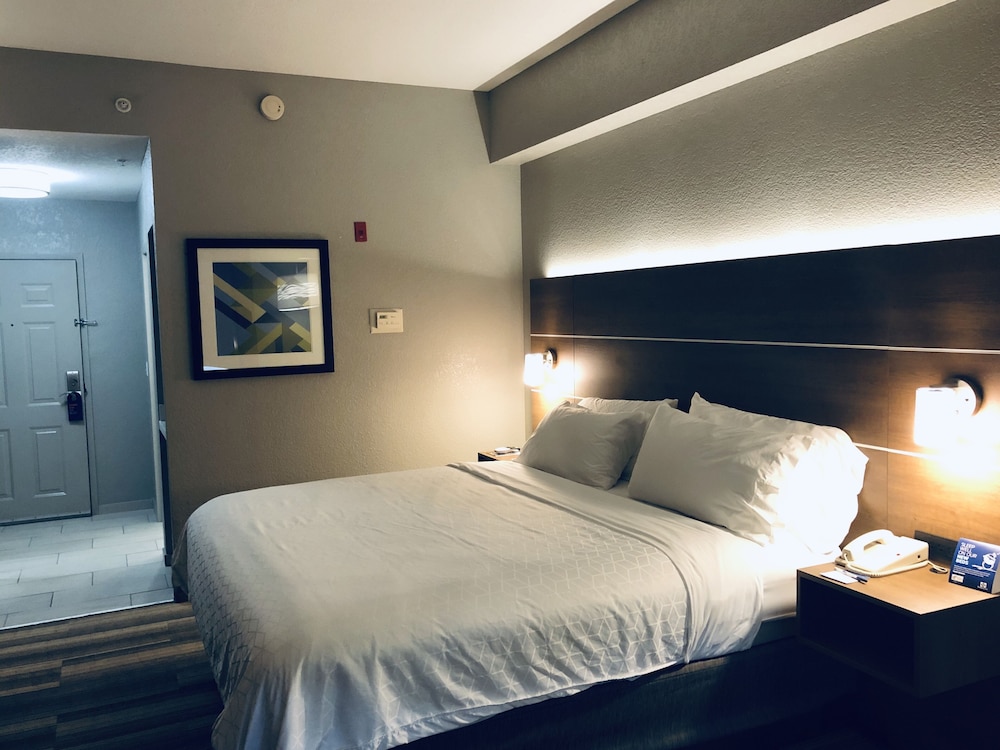 Holiday Inn Express & Suites West Palm Beach Metrocentre by IHG - photo 22