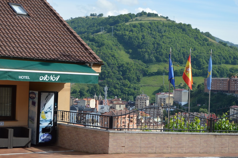 Hotel Alina - carbon neutral hotel in Cangas Del Narcea
