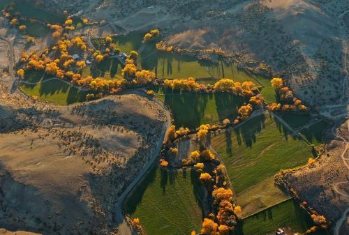 Canyon Of The Ancients Guest Ranch - photo 31