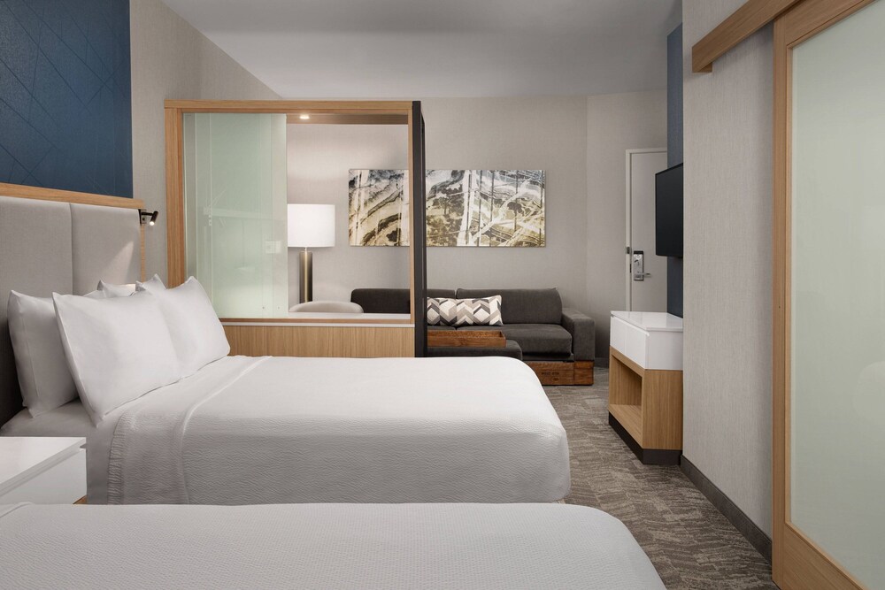 SpringHill Suites by Marriott Charleston Airport & Convention Center - photo 22