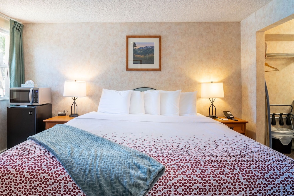 Swiss Alps Inn - photo 12