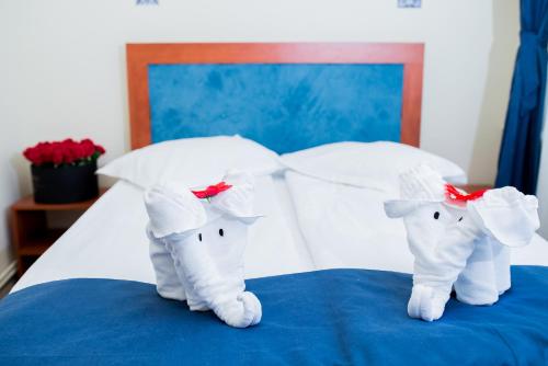 Hotel Pin Azuga in Azuga, Romania