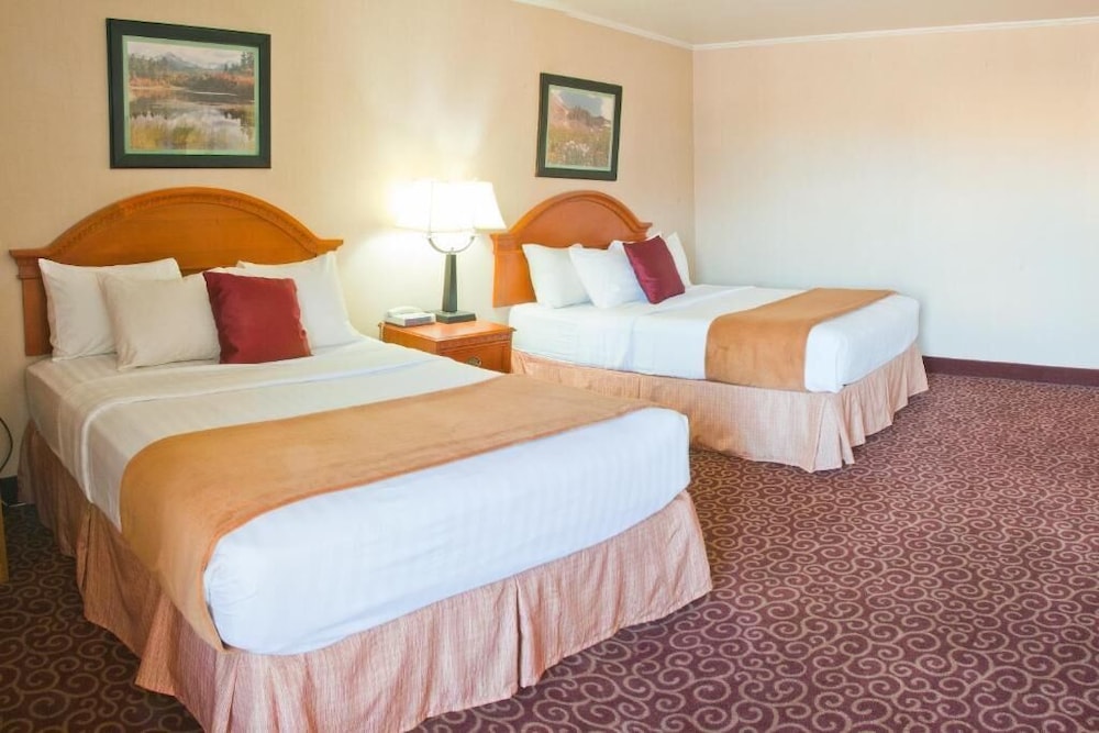 Red Arrow Inn & Suites a Travelodge by Wyndham - photo 5