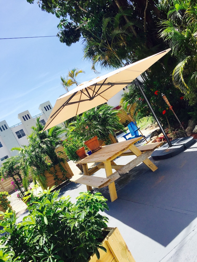 Oasis Hotel - photo 62