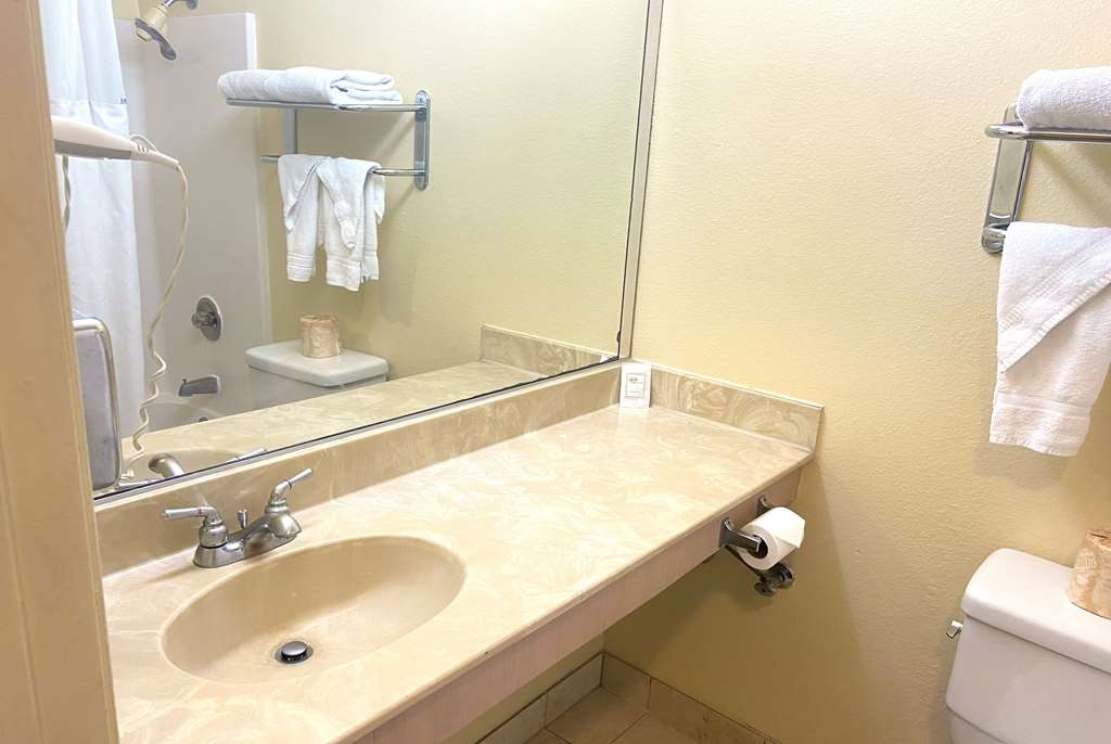 Ramada by Wyndham Los Angeles Koreatown West - photo 13