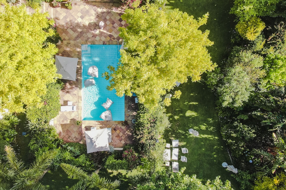 The Last Word Constantia