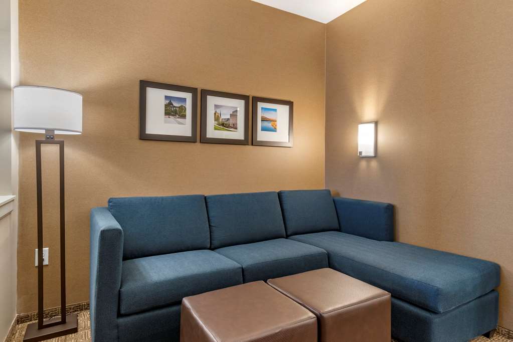 Comfort Suites Camp Hill Harrisburg West - photo 16