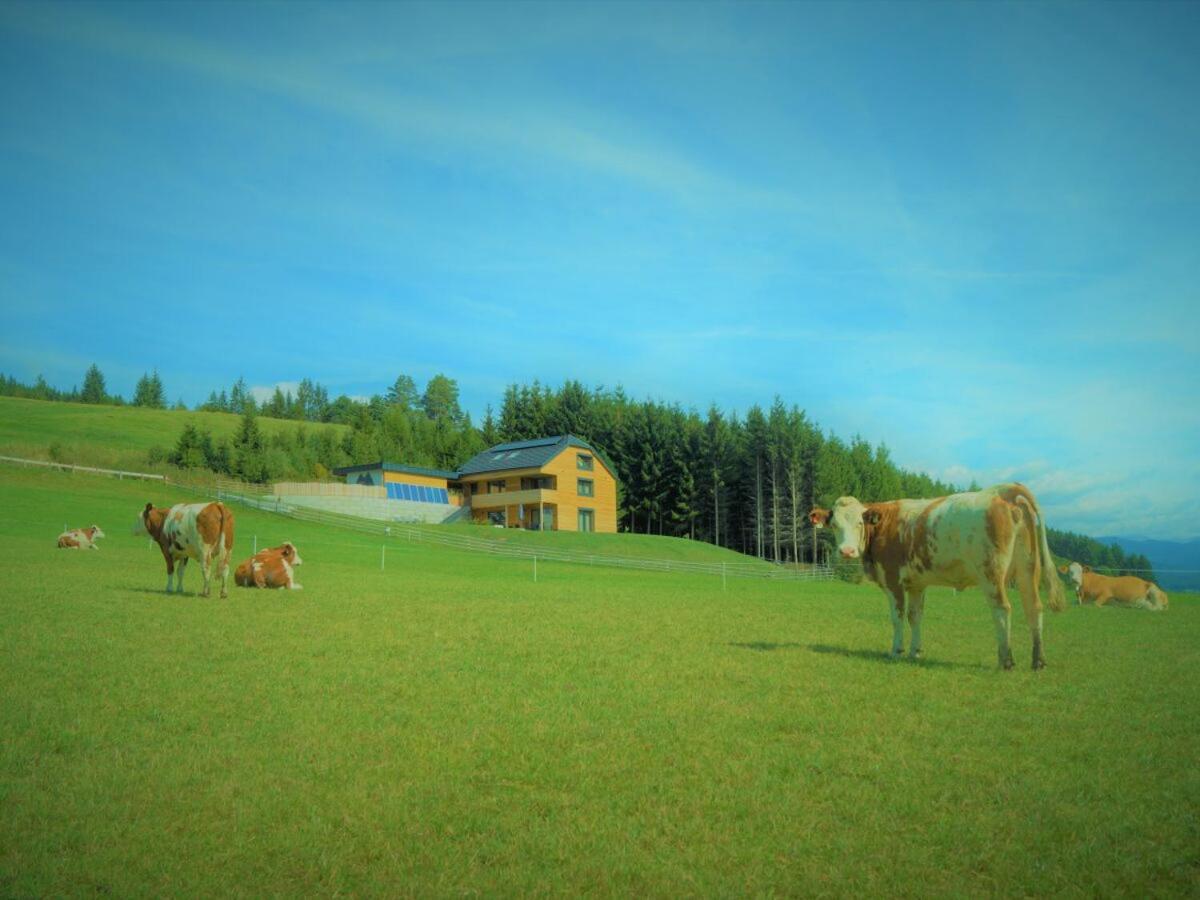 Chalet Traumblick — Mauterndorf — photo 3
