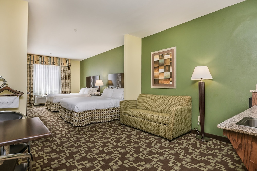 Holiday Inn Express Hotel & Suites Dumas by IHG - photo 20