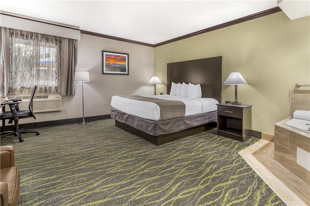 Best Western Asheville Blue Ridge Parkway - photo 14