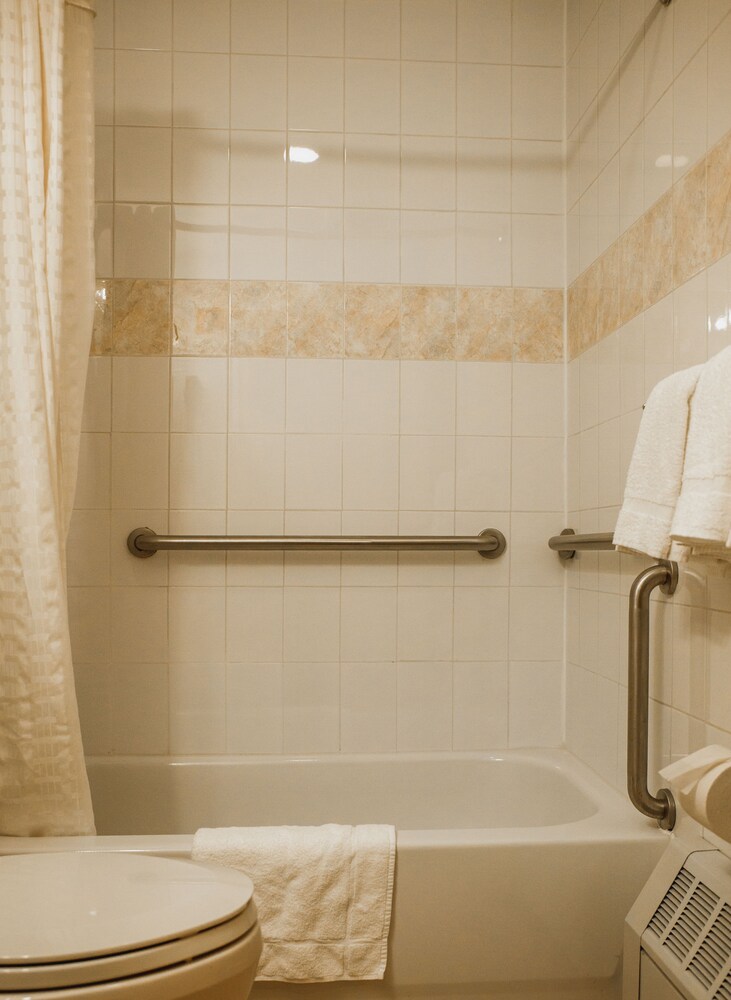 Econo Lodge Times Square - photo 42