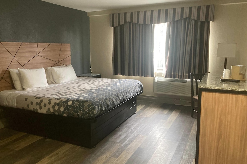 Econo Lodge Malden - photo 4
