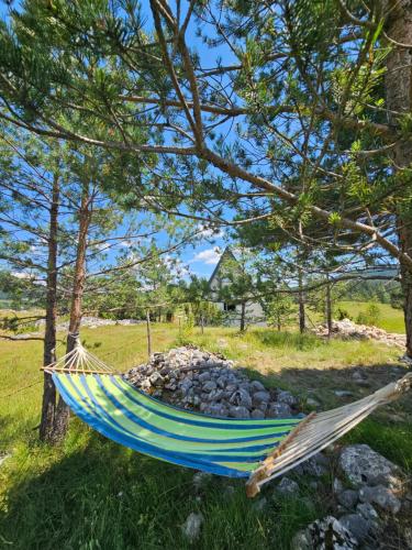 Mountain Oasis in Zabljak, Montenegro