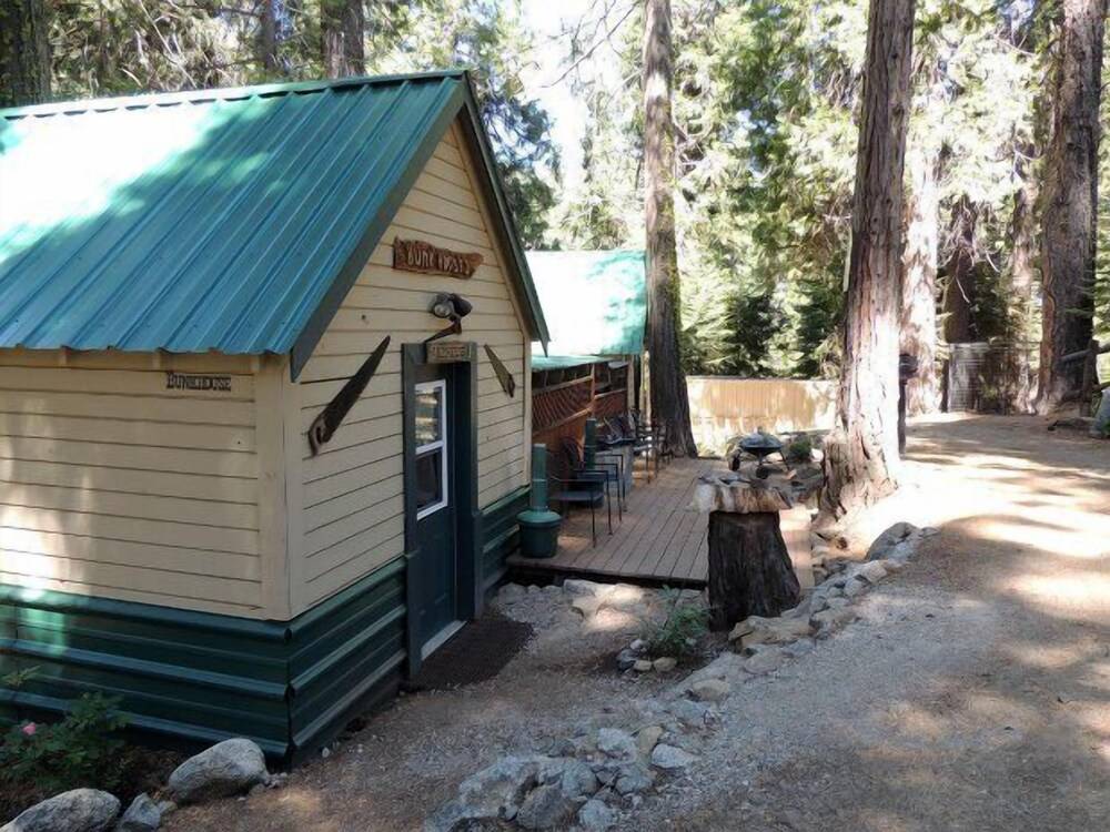 Shaver Lake Village Hotel - photo 100