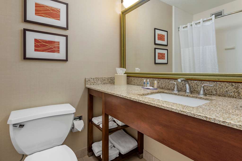 Comfort Inn Lancaster County North - photo 10