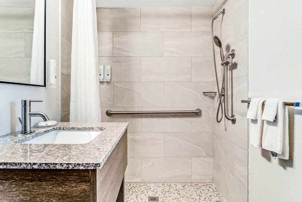 Quality Inn Detroit Downtown - photo 32