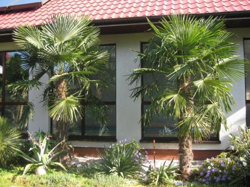 Pokoje Gościnne Pod Palmami — hotel in Busko-Zdroj