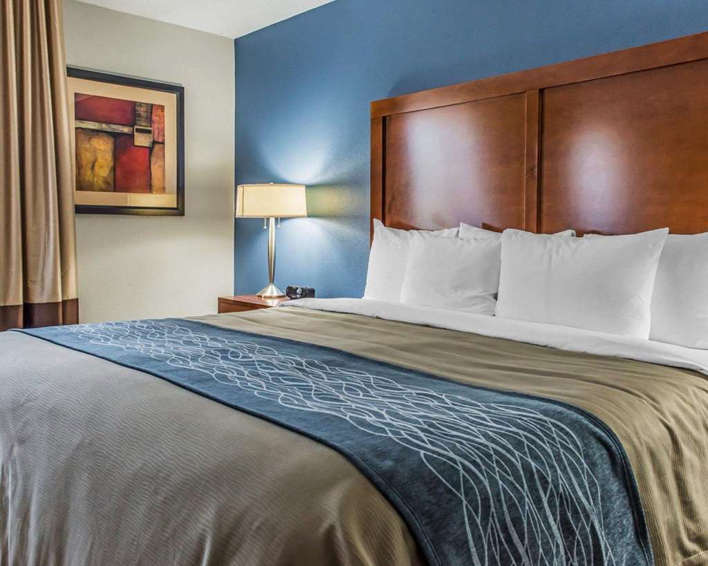 Comfort Inn Belle Vernon - photo 6