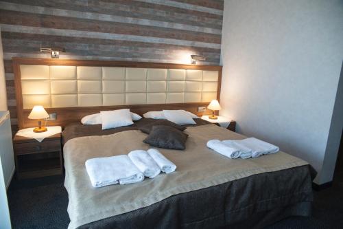 Hotel Pod Szyszkami in Kozmin Wielkopolski, Poland