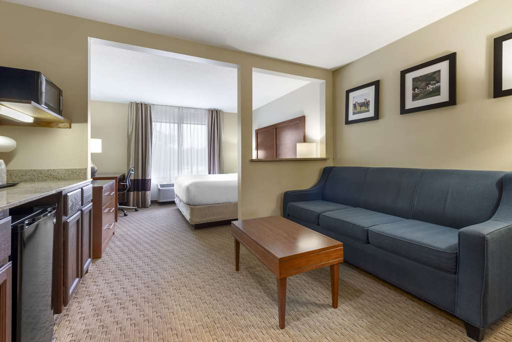 Comfort Inn & Suites Black River Falls I 94 - photo 20