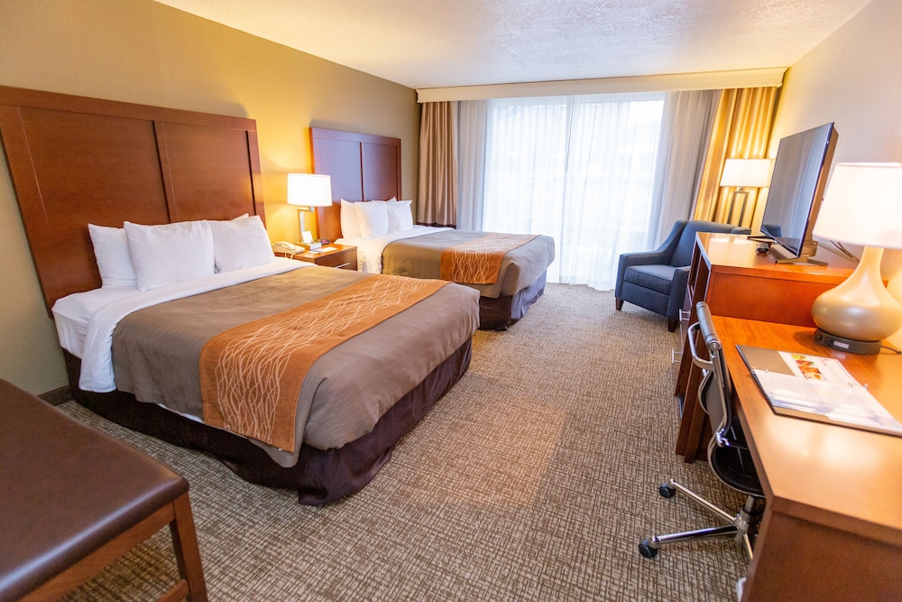 Comfort Inn Downtown - photo 3