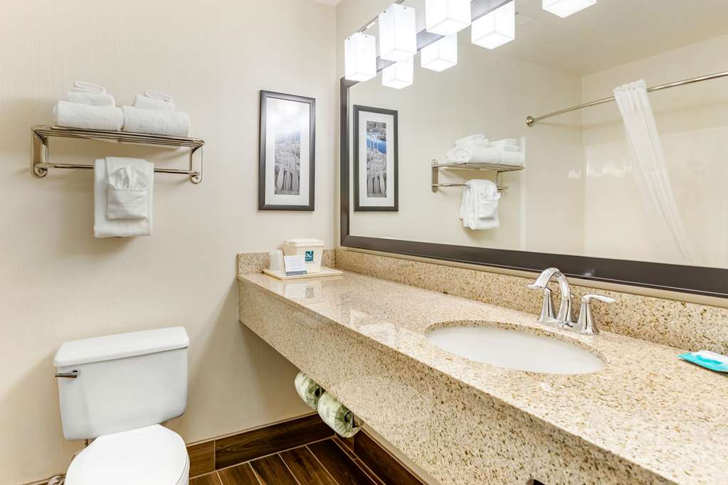 Quality Inn & Suites University Fort Collins - photo 25