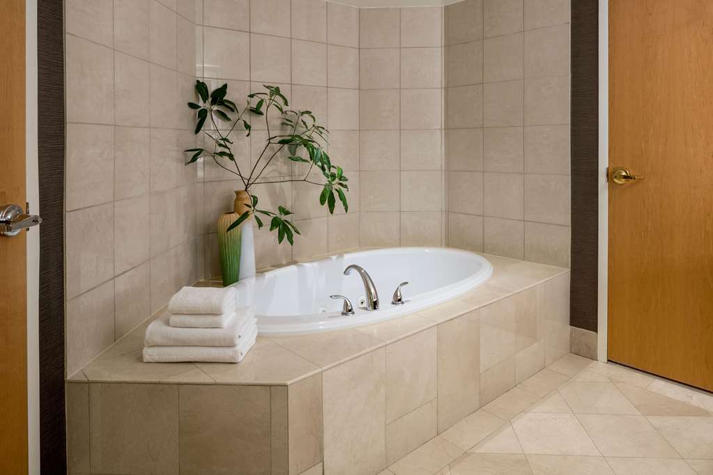 Hyatt Regency Chesapeake Bay - photo 43