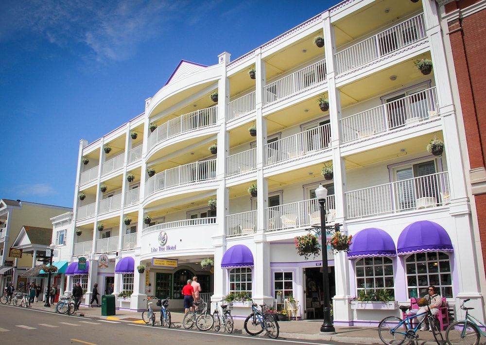 The Lilac Tree Suites & Spa - last minute hotel in Unknown City