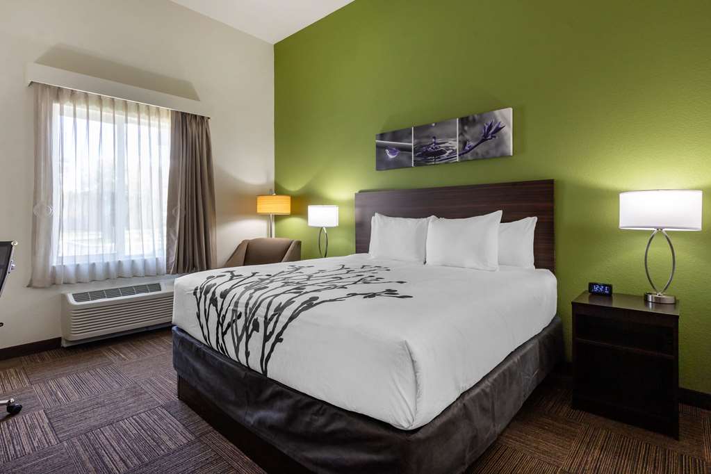 Sleep Inn & Suites Tampa South - photo 9