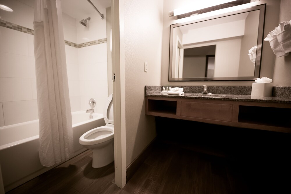 Holiday Inn Raleigh Downtown - photo 13