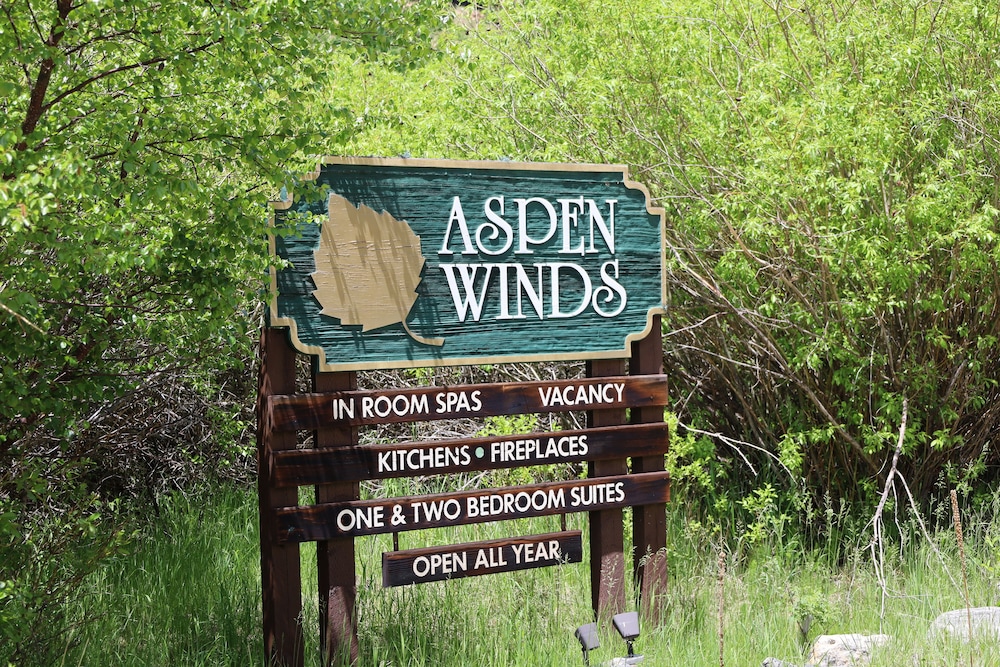 Aspen Winds on Fall River - photo 36