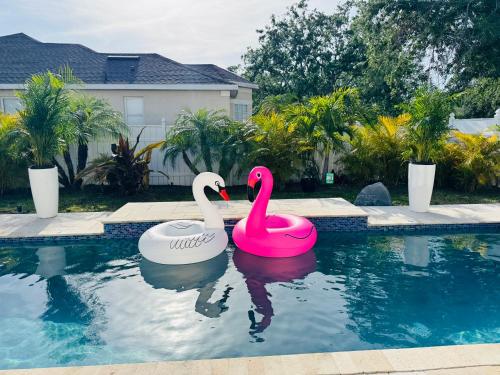 Luxury Home W Heated PoolNear IMG & Siesta Key Beach — 4-Star Luxury Hotel in Bradenton, United States