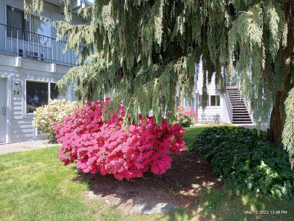 Cocusa Motel - photo 128