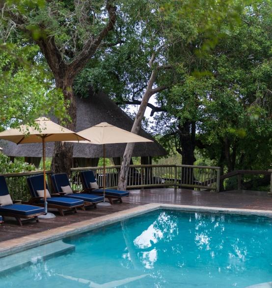 Sabi Sabi Selati Camp — 4-Star Luxury Hotel in Mpumalanga, South Africa