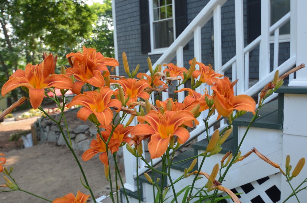 The Cottages of Wolfeboro - photo 200