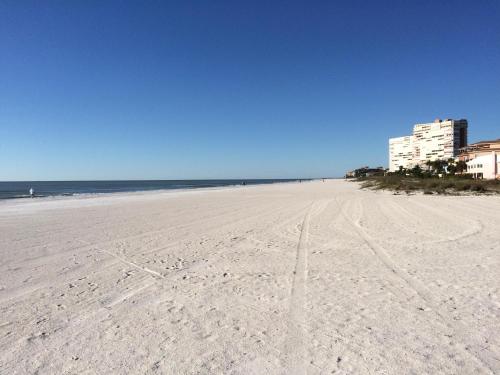 The Shores 103 - photo 14