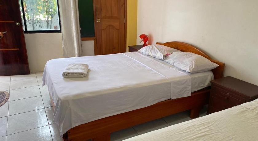 Galapagos Dove in Puerto Ayora, Ecuador