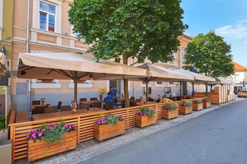 Hotel Slovenj Gradec — hotel in Slovenj Gradec