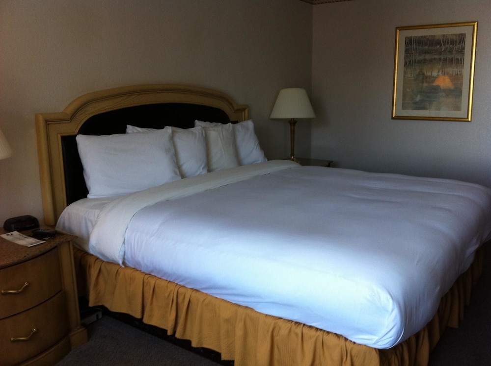 Airport Inn Hotel - photo 6