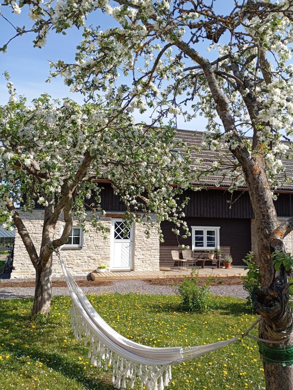 Loo kodu&köök - carbon neutral hotel in Unknown City